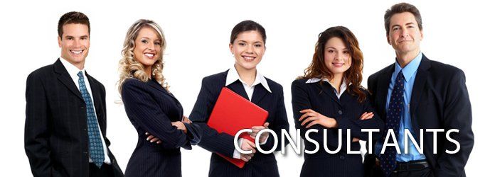 consultants we insure